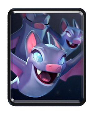 Bats